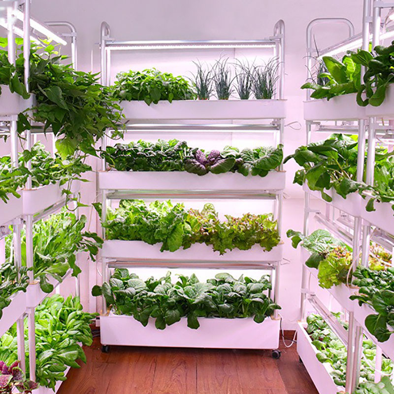 Hydroponics Growing System Ver - Hydroponic Tower Planter ulasan dan harga