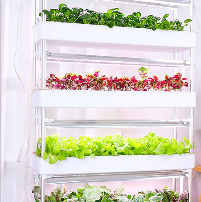 Hydroponics Growing System Ver - Hydroponic Tower Planter ulasan dan harga