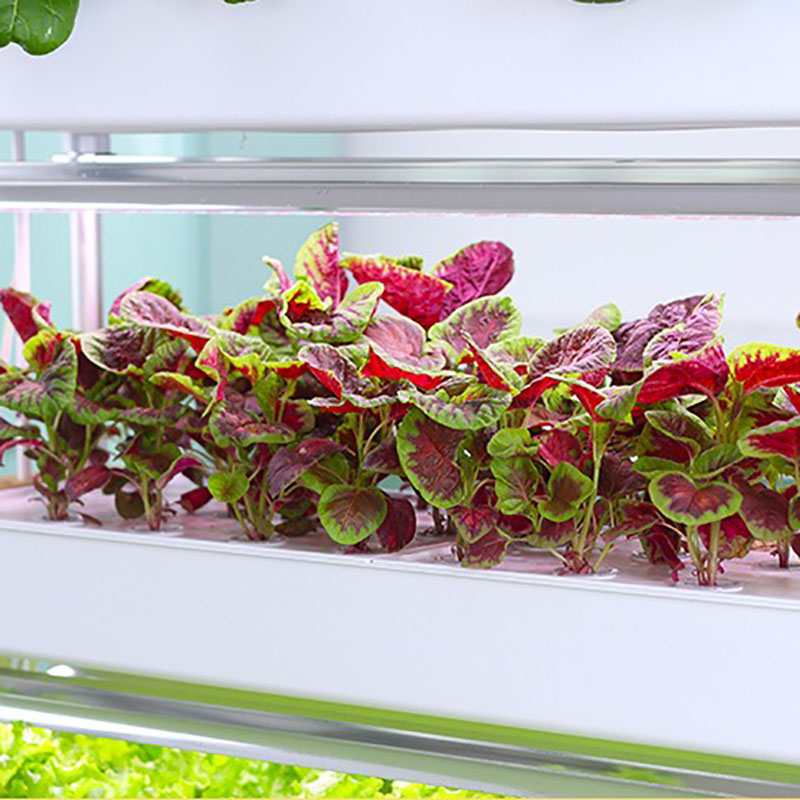 Hydroponics Growing System Ver - Hydroponic Tower Planter ulasan dan harga
