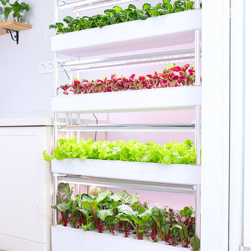Hydroponics Growing System Ver - Hydroponic Tower Planter ulasan dan harga