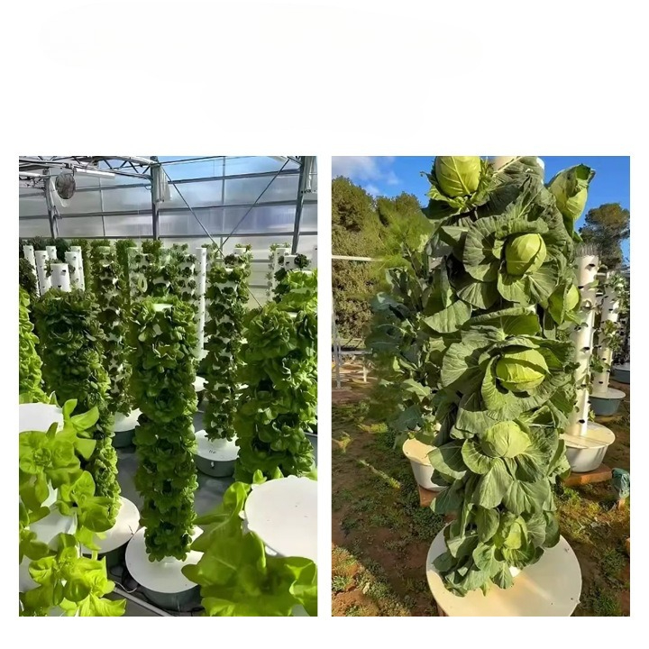 Hydroponic Tower with LED Grow - Hydroponic Tower Planter ulasan dan harga